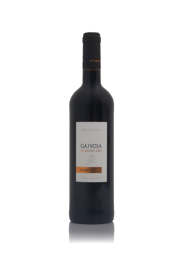Gaivosa Premières Années