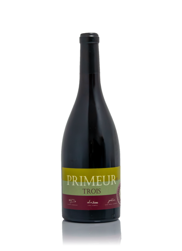 Camolas Reserve Red